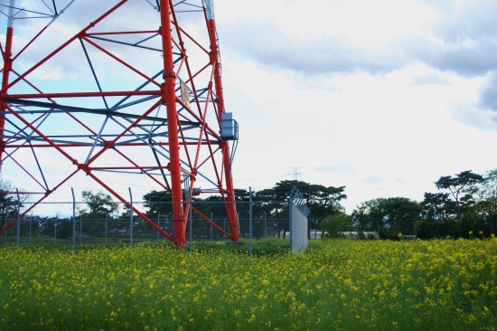 e0126350_0123675.jpg