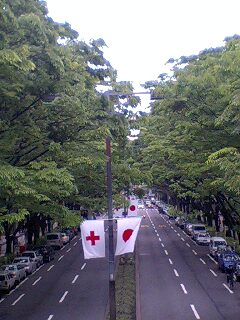 a0093054_17563089.jpg