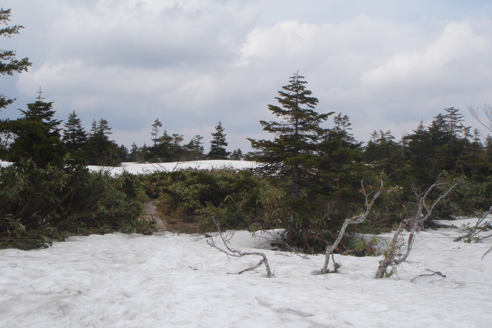 小白森山・大白森 - 秋田県仙北市_f0137955_22324934.jpg