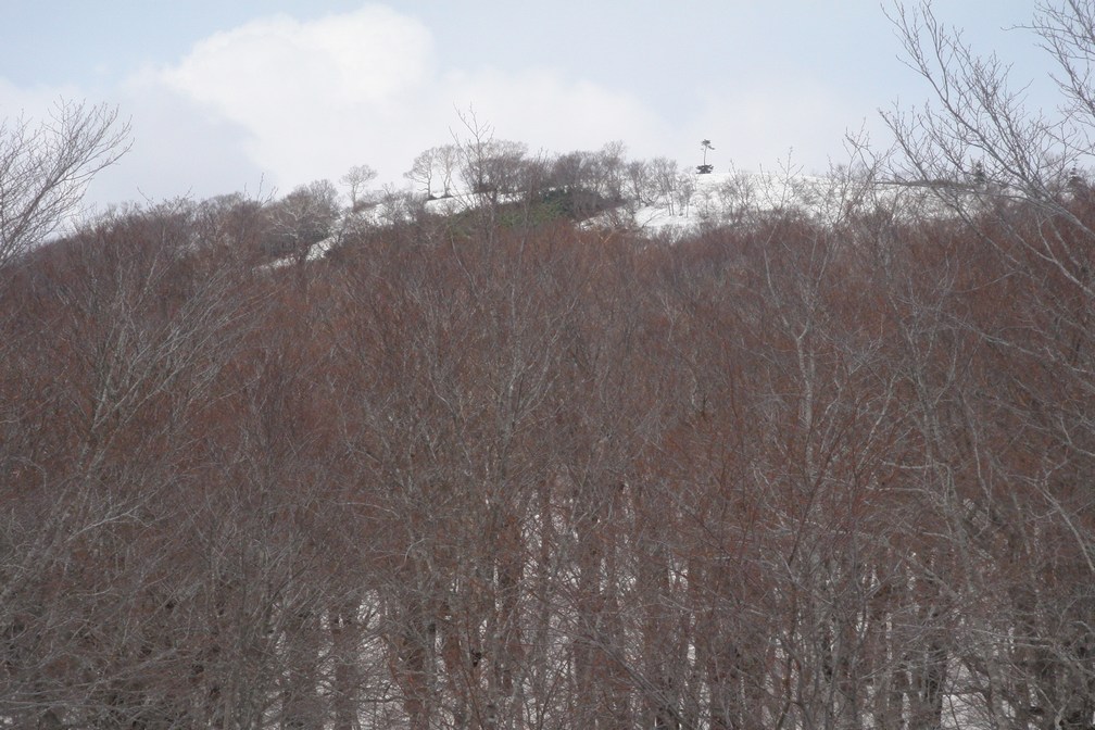 小白森山・大白森 - 秋田県仙北市_f0137955_22342531.jpg