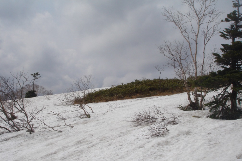 小白森山・大白森 - 秋田県仙北市_f0137955_2235121.jpg