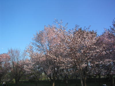 b0105157_2048143.jpg