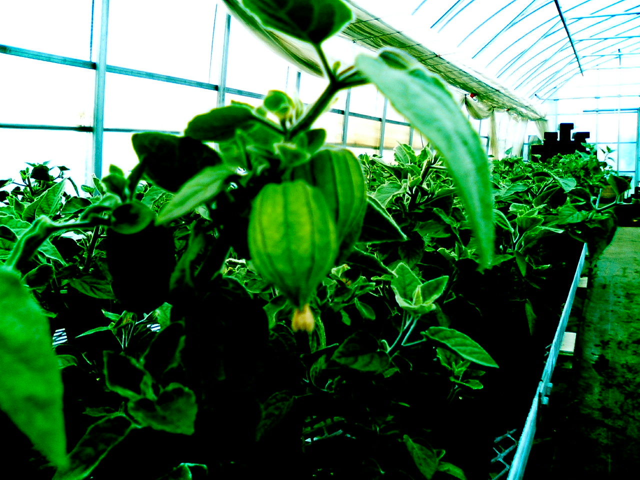 f0104457_11252173.jpg