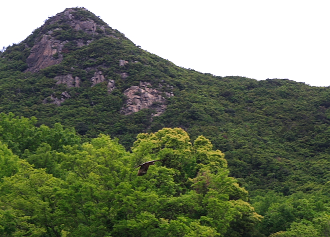 a0032559_1157492.jpg
