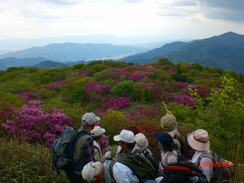 井原山　➁　　　09　5/3_f0156960_16552093.jpg