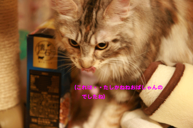 e0158561_1104164.gif
