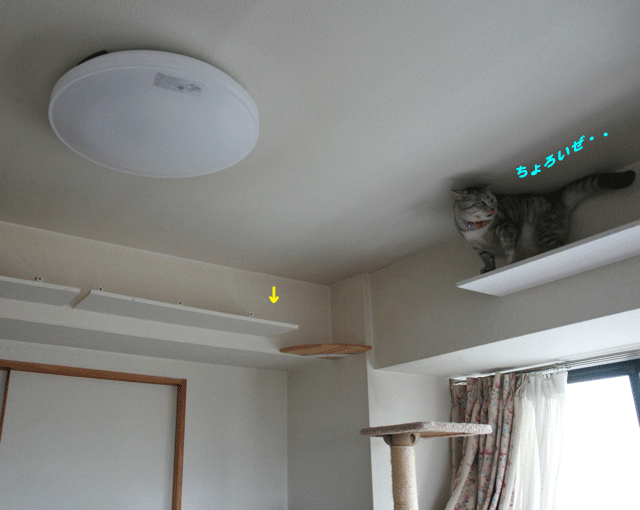 e0158561_11123487.gif