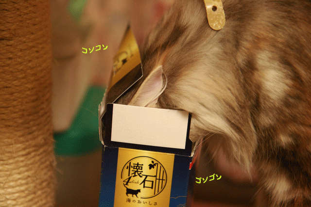 e0158561_111563.gif