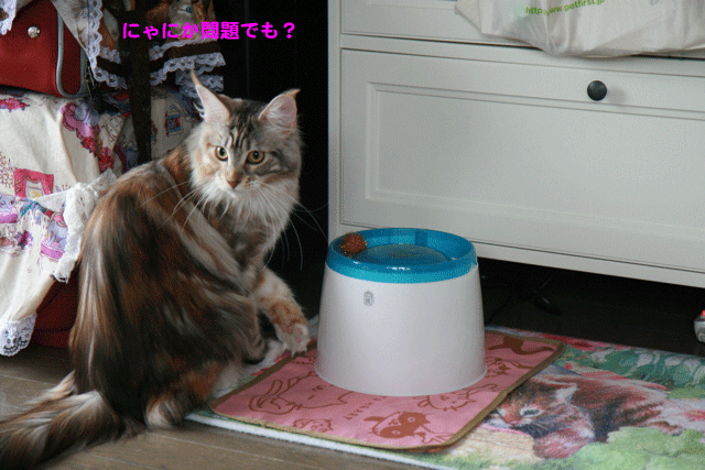 e0158561_11754100.gif