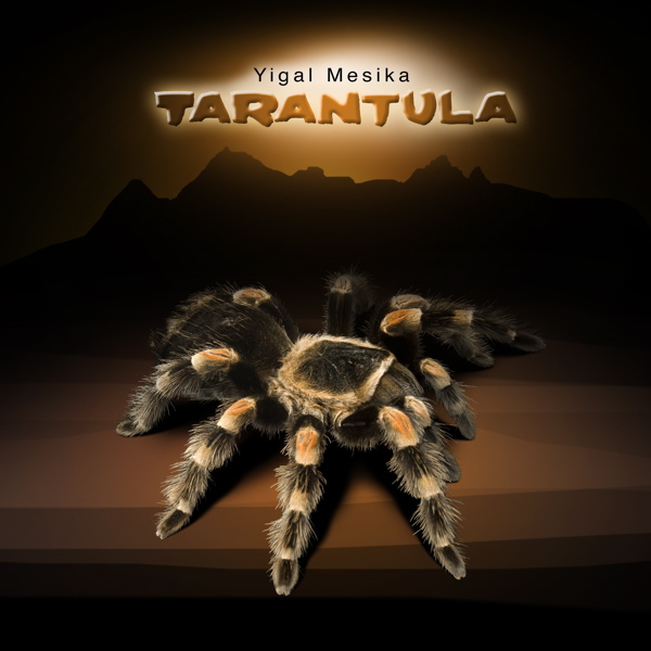 Tarantula_f0071362_5584418.jpg