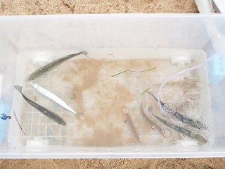 海事研修 5月8日_f0202368_10404051.jpg
