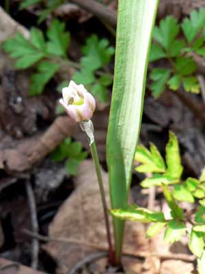 f0083977_23574796.jpg