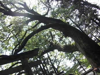 c0152284_24011.jpg
