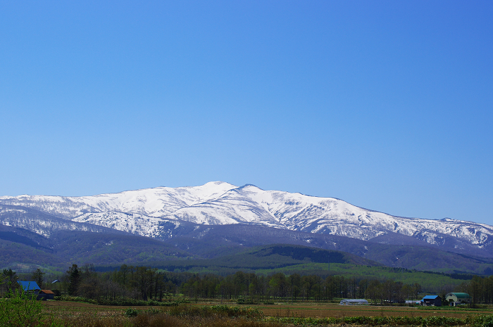 e0128187_6441561.jpg