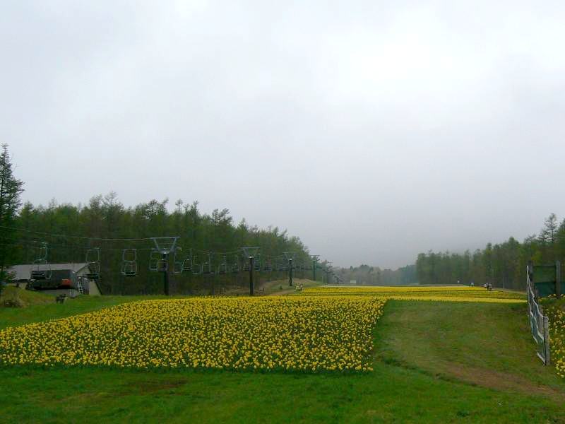 a0011690_10231623.jpg