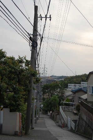 b0054391_9232353.jpg