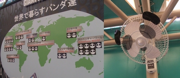 c0039291_1485618.jpg