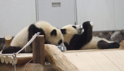 c0039291_151414.jpg