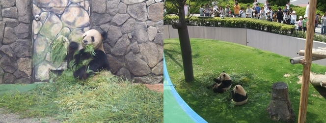 c0039291_1545197.jpg