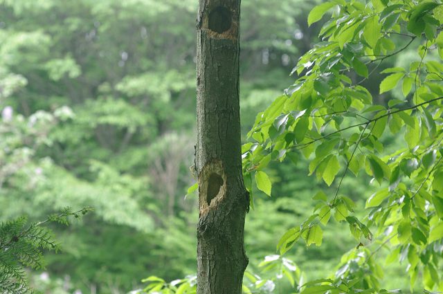 e0070891_2045178.jpg