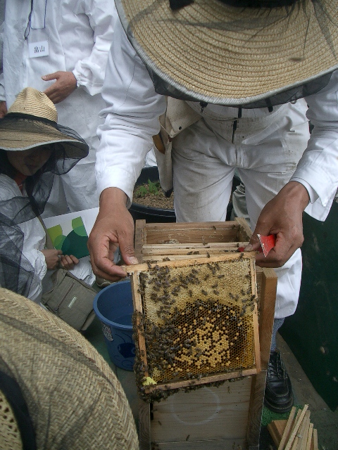 e0159192_10493230.jpg
