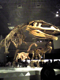 a0107394_2233509.jpg