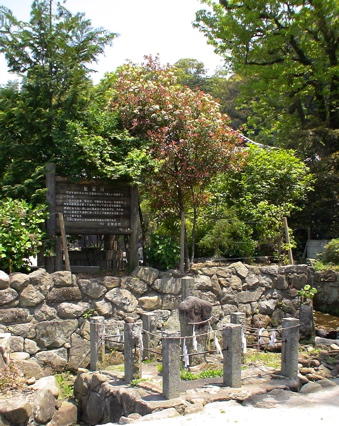 散歩の道すがら【2】 『藍染川』_d0016397_2315842.jpg