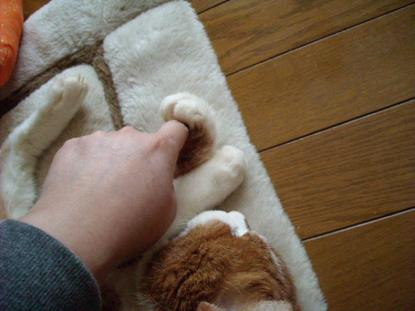 f0187700_113713.jpg