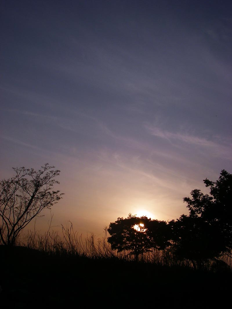 c0095801_20342037.jpg