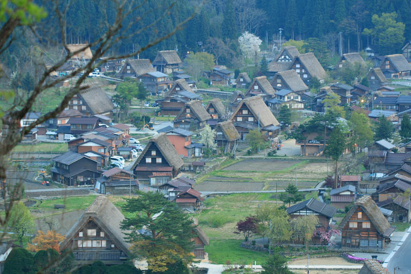 d0147002_13405814.jpg