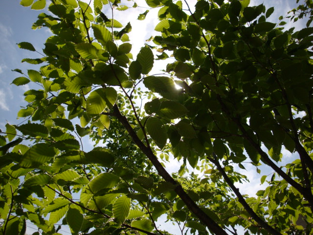e0175905_2021305.jpg