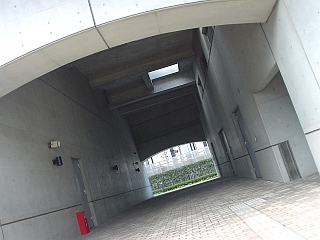 d0131207_1117487.jpg