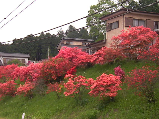 f0038407_22592238.jpg