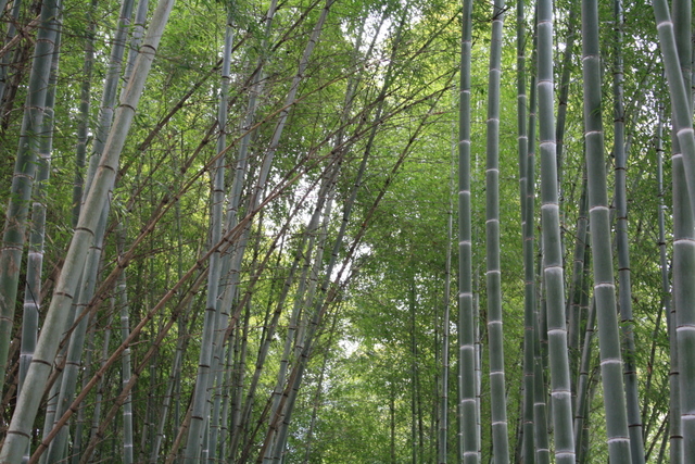 f0038407_2332320.jpg