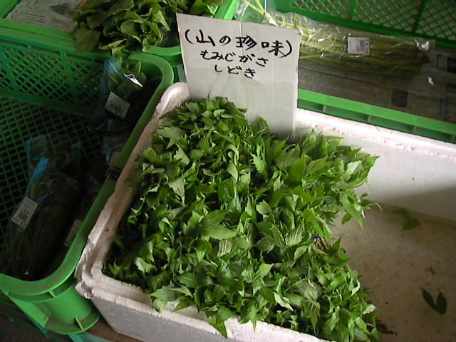 f0038407_23371670.jpg