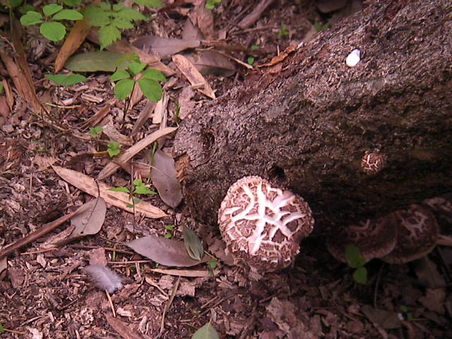 f0038407_2351224.jpg