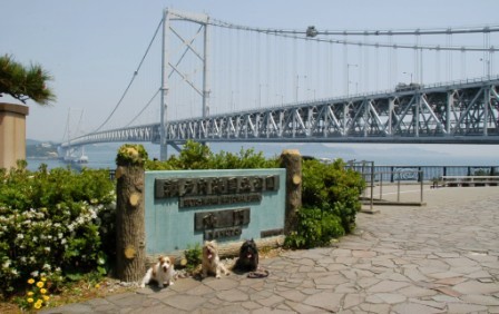 e0078510_1646285.jpg
