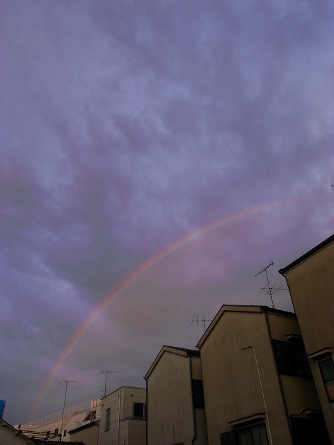 c0071611_812586.jpg