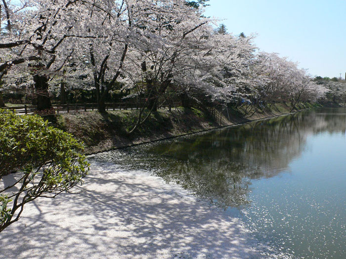 気がつけばもうＧＷ終わりです_e0054711_20473199.jpg