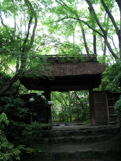 祇王寺 新緑_e0048413_20354435.jpg