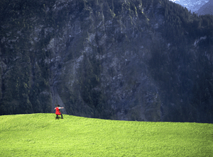 b0074921_14565514.gif