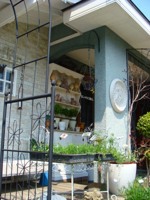 f0170524_1537588.jpg