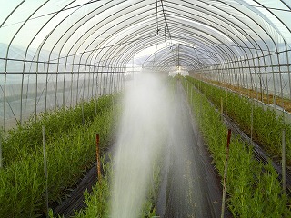f0032130_191056.jpg