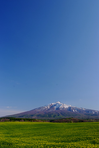 e0168232_7213784.jpg