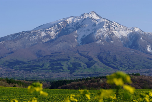 e0168232_8592232.jpg