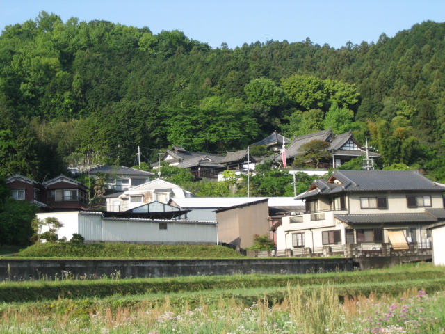 d0135633_12395550.jpg