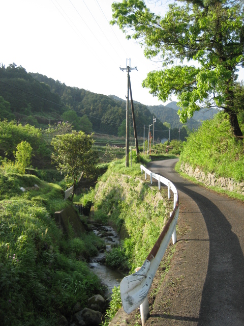 d0135633_12455991.jpg