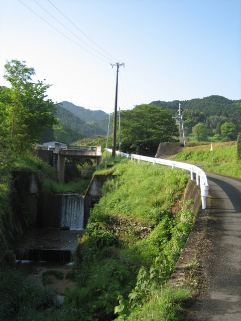d0135633_12463349.jpg