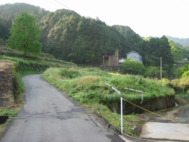 d0135633_12472718.jpg