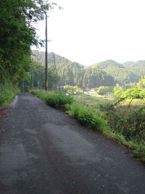 d0135633_12475532.jpg
